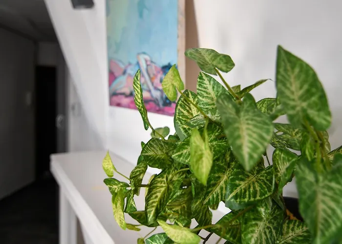 Sun & Soul * Βάρνα